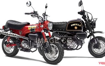 Honda lên kế hoạch đưa bộ đôi "quỷ nhỏ" GORILLA 125 và DAX 125 tới thị trường - 1