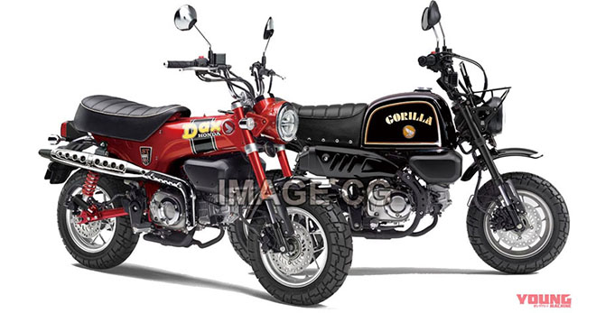 Honda GORILLA 125 và DAX 125 - 1