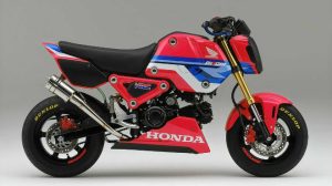 Honda MSX125 Grom 2021 phiên bản đường đua HRC cực ngầu