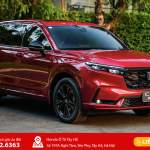 Xe Máy Điện 2025: Sức Hút Nào Cho Tương Lai Di Chuyển Việt?