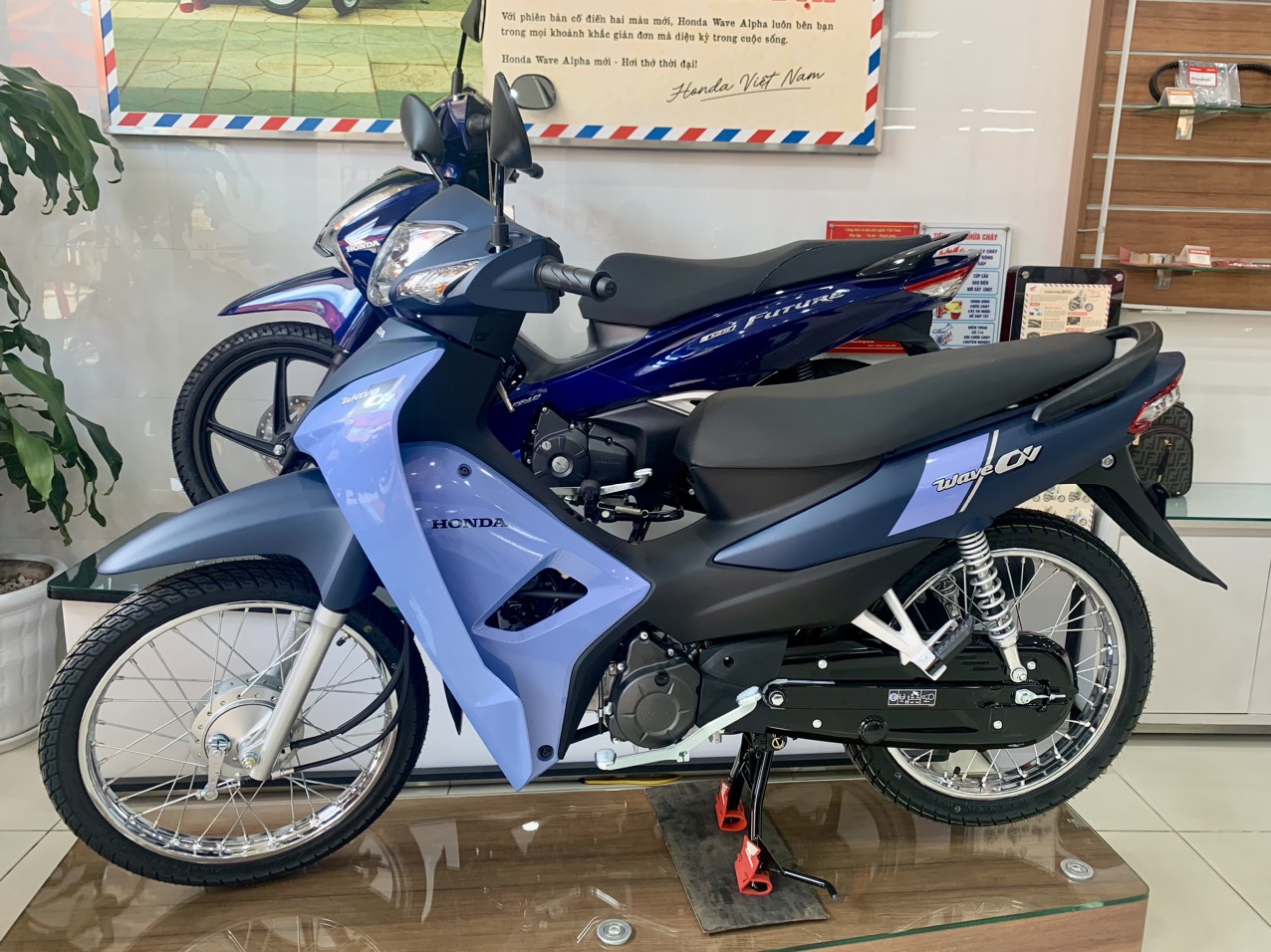 Honda Wave Alpha 2025 màu xanh mới Honda Wave Alpha 2025 màu xanh mới