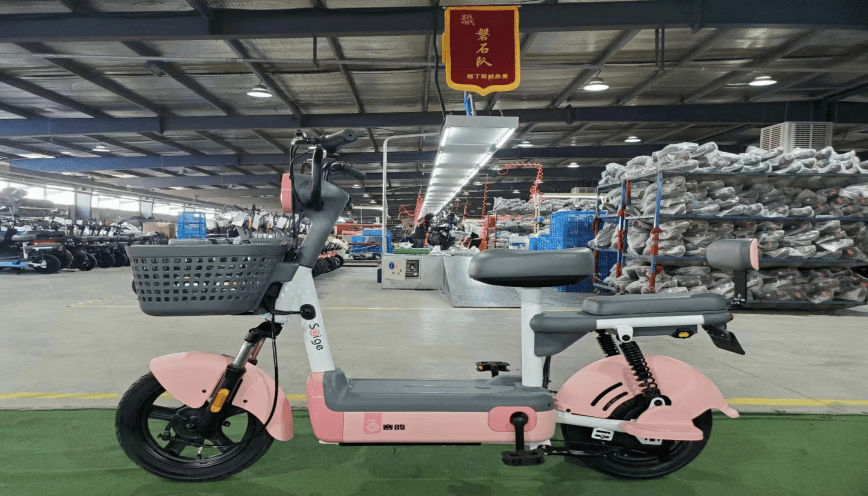 người đi xe đạp điện trong thành phố