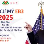 Thị Trường Mô Tô 2026: Cơ Hội Nào Cho Xe Việt Trên Đường Đua?