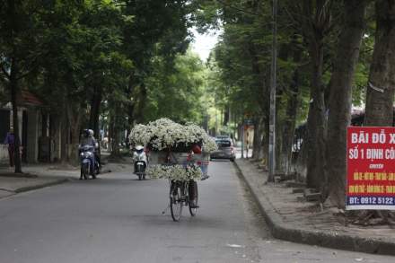 TOP Xe Máy Mới Sắp Ra Mắt Việt Nam: Biker Việt Đón Chờ Điều Gì?