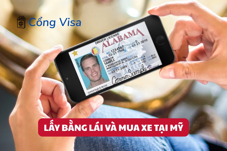 Người lái xe cân nhắc mua sắm