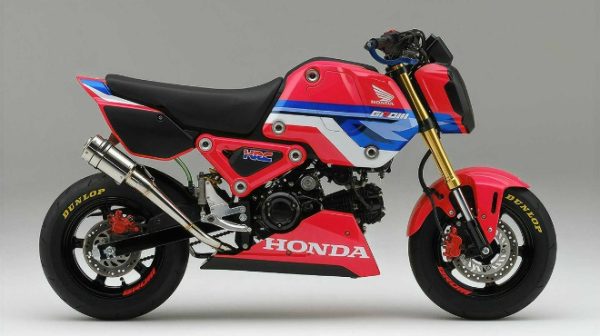 2021 Honda MSX125 Grom HRC đậm chất đua nhìn cực ngầu - 1